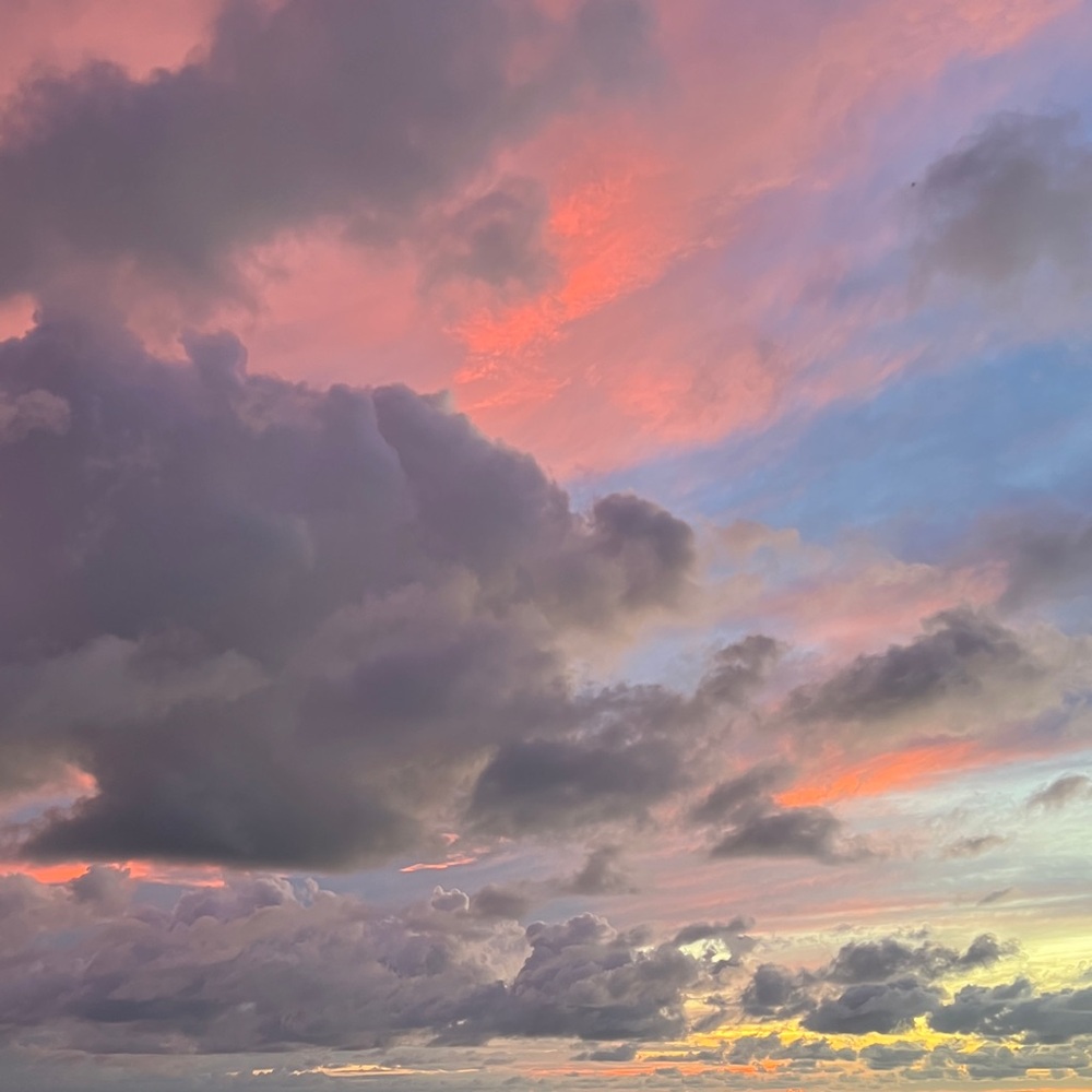 Meet your Posher, Elle